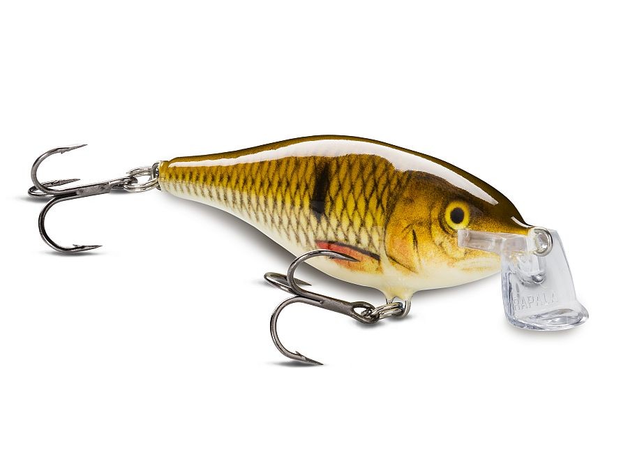 rapala-shallow-shad-rap-7cm-7g-crankbait-various-colors-ebay