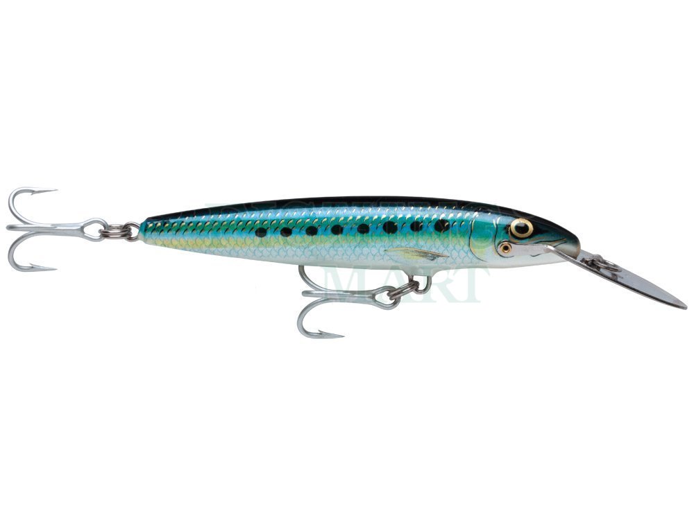 Rapala Countdown Magnum 5-1/2 - Silver, Topwater Lures -  Canada
