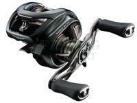 Multiplikator Daiwa 24 Steez SV TW 100L