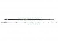 Rod Penn Carnage Boat 702 30lb 2.13m | Fast | Heavy