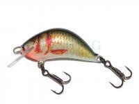 Lure Kenart Hunter 4cm NG