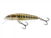 Lure Salmo Minnow M5F - Minnow