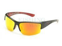 Solano Polarized Sunglasses SP 20100