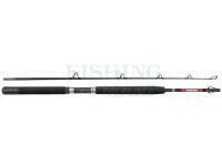 Rod Penn Warfare Boat 1.80m M 30lb 2Sec Conv