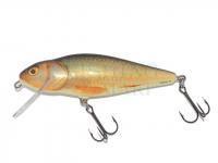 Lure Salmo Perch PH12F - Real Roach