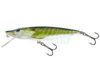 Hard Lure Salmo Pike PE16F - Real Pike