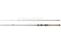 Wędka castingowa Dragon Flash XC40P LT Cast 21 Fast 1.98m 5-21g