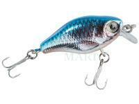 Hard Lure Balzer Colonel UV Striker Crank SR 4cm 4g - Roach silver