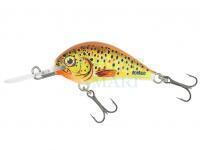 Wobler Dorado Blagier 3,5S TR