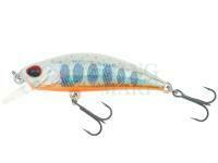 Lure DUO Spearhead Ryuki 38S - AJO4064