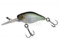 Hard Lure Illex Diving Chubby 38 mm 4.3g - Secret Grass Minnow