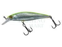 Hard Lure Illex Squad Minnow 95 SP - RT Visible Roach