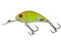 Lure Salmo Hornet Rattlin H6.5 - Clear Ayu