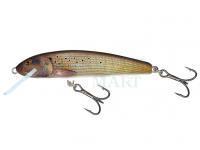 Hard Lure Salmo Minnow M6F 6cm - Grayling