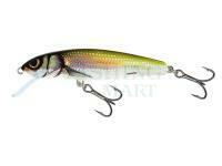 Lure Salmo Minnow M7S - Holo Bleak