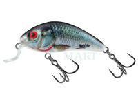 Hard Lure Salmo Rattlin Hornet Shallow SR 4.5cm 5.5g - Holographic Real Dace (HRD)