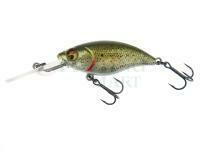 Hard Lure Westin BuzzBite Crankbait 5cm 6g Suspending - Lake Roach