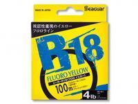 Seaguar - Japanese fluorocarbon lines and braids