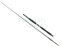 Rod Dega ExxPure Inliner 2.30m 20-30lbs