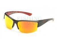 Polarized Sunglasses Solano FL20057E