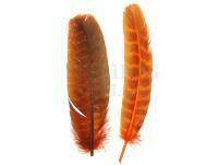 Ozark Turkey Quill 012 - Orange