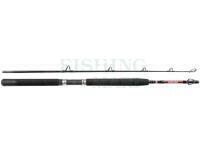 Rod Penn Warfare Boat 1.80m M 30lb 2Sec Conv