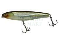 Lures Water Monitor 95 9.5cm 20g - HS Ghost Minnow