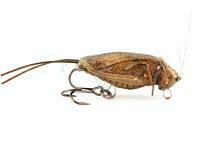 Hard Lure Imago Lures Hopper Flow 3.5cm F 1.7g - DBC