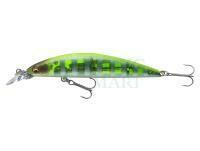 Hard Lure Daiwa Tournament Current Master 93F-SR | 9.3cm 12g - chart back zebra