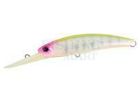 Hard Lure DUO Realis Fangbait 100DR | 100mm 17.5g | 3-7/8in 5/8oz - BCC3385