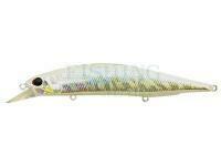 Lure DUO Realis Jerkbait 120SP - AJO0091