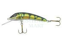 Lure Jaxon Ferox 10 F OA