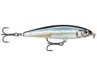 Lure Rapala X-Rap Magnum Prey 10cm 41g - ANC Anchovy