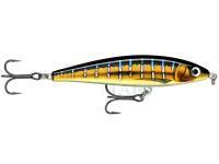 Wobler Rapala X-Rap Magnum Prey 10cm 41g - HDSFU HD Sailfish UV