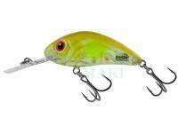 Wobler Salmo Hornet Rattlin H3.5 - Clear Ayu