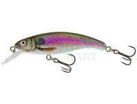 Lure Salmo Slick Stick 6cm - Spot Bait (SB)