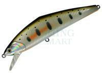 Hard Lure Smith D-Contact 110mm 26g - 33 Yamame foil