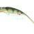 Qubi Lures Syrena ONYX Vert 20cm